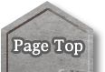 Page Top