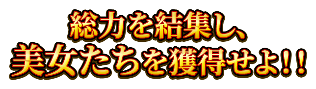 総力を結集し、美女たちを獲得せよ！！